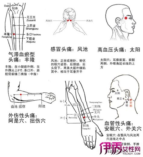 中平穴|中平穴准确位置